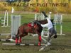 My Brilliant Plan to Prevent Equestrian Tragedies: Jumping Horses Equestrians getting hurt falling off or dying from riding horses